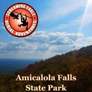 person on tall zip line above the trees at Amicalola Falls State Park